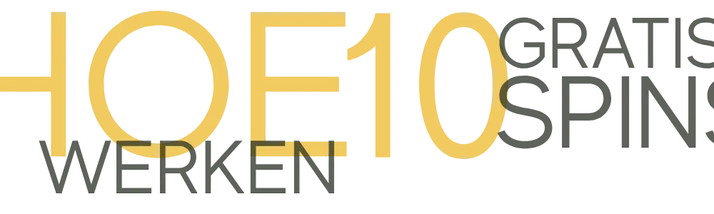 hoe werken 10 FS